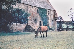 aber-ildut-finistere-ap-ildut-20