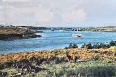 aber-ildut-finistere-ap-ildut-24
