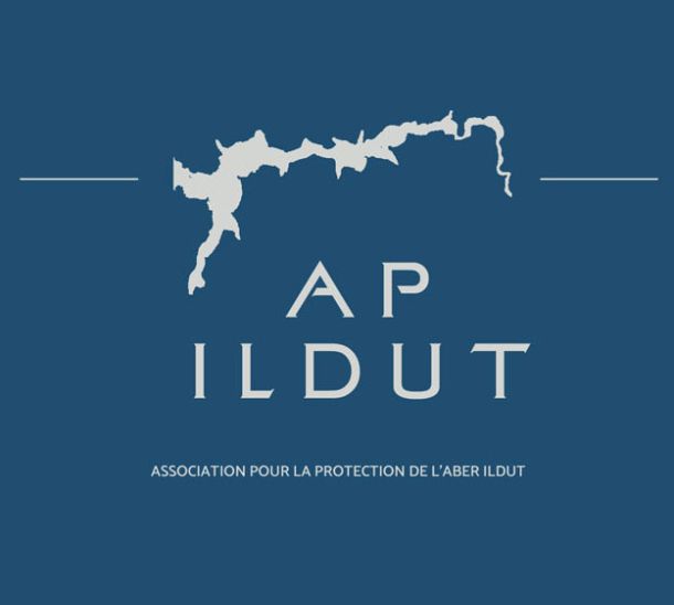 logo ap-ildut-carre